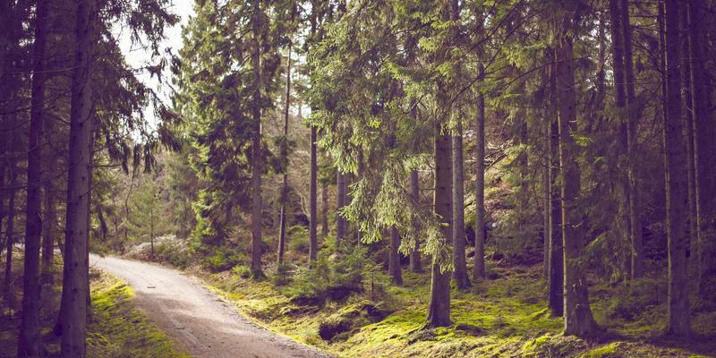 Art47：数字艺术创作的新纪元，探索创造力与技术的交汇点