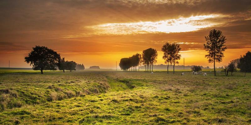 Art58：Future Art与Art Phoenix如何重塑全球文化交流新范式