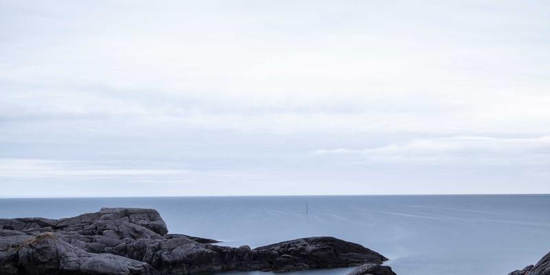 Art71与Art Phoenix：重塑当代艺术展览的先锋对话