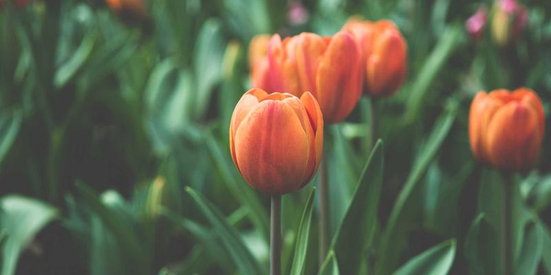 Art94: Where Creation Meets Artists and Exhibitions in a Digital Renaissance