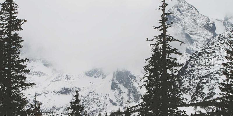 Art Phoenix：当代艺术家的涅槃与艺术生态的重塑