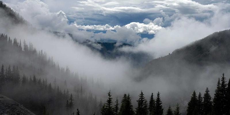 Art Phoenix:数字艺术的涅槃与当代艺术家的数字进化