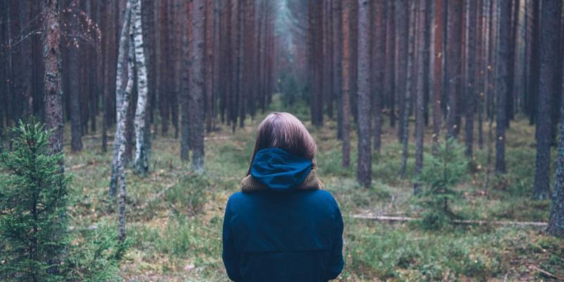 Art Phoenix案例分析：数字艺术如何重塑当代视觉叙事