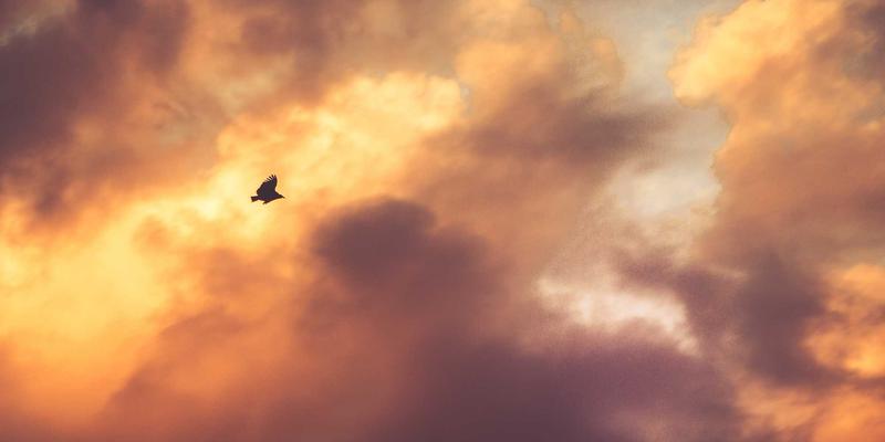 Art Phoenix：沉浸式戏剧与装置艺术的跨界融合新趋势