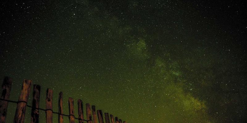 Digital Art Creation in the Age of Sustainability: Exploring Eco-Materials, Environmental Themes, and Green Cultural Exchange