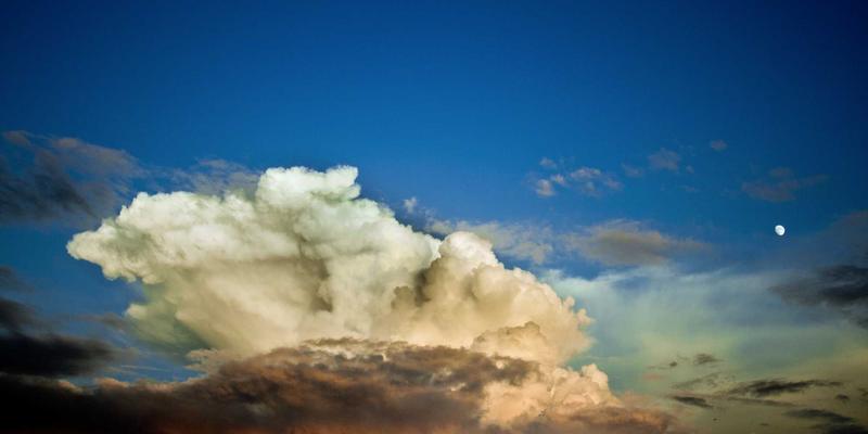 从Creation到Exhibitions：数字艺术时代非营利艺术机构的可持续运营与多元化收入实践