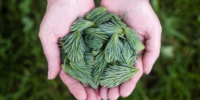 从展览到创作：探索艺术家的多维实践场域