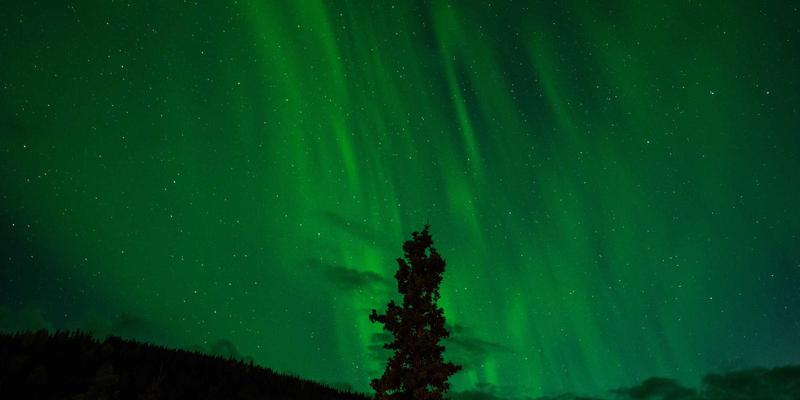 声音艺术与听觉文化：Art Phoenix如何通过声音装置创作推动跨文化对话