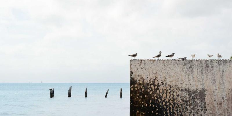 当Art遇见基因编辑：数字艺术家如何重塑生命美学的伦理边界