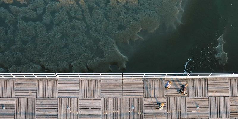 数字艺术展览中的慢艺术运动：对抗信息过载的冥想式创作实践