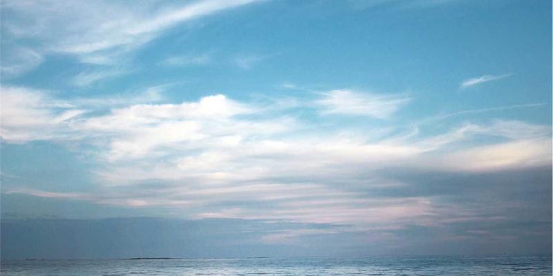 数字艺术革命：博物馆与美术馆如何通过线上策展、虚拟游览重塑未来艺术展览