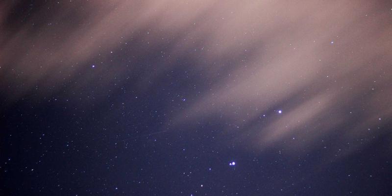 生物艺术的前沿探索：生命科学与艺术创作的伦理及美学碰撞