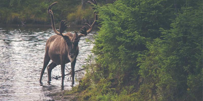 算法策展逻辑：Art Phoenix如何利用大数据重构未来艺术叙事与文化对话