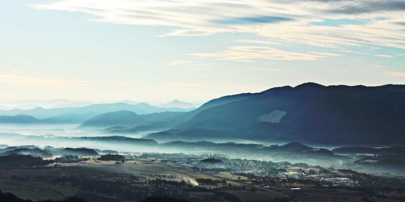 艺术家与未来艺术：从创作到展览的进阶之路
