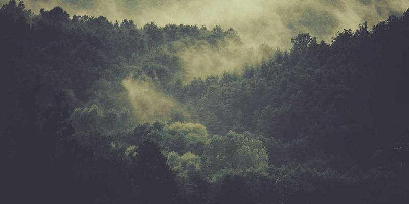 艺术机构的文化治理：博物馆、美术馆在身份政治与社会包容中的角色